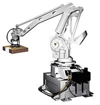 روبات مفصلی / چهار محوری / کاربرد در بسته بندی / استفاده صنعتی